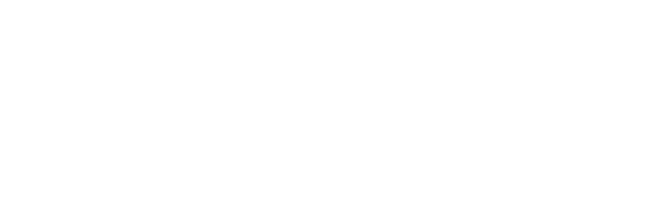 zemma wirta logo